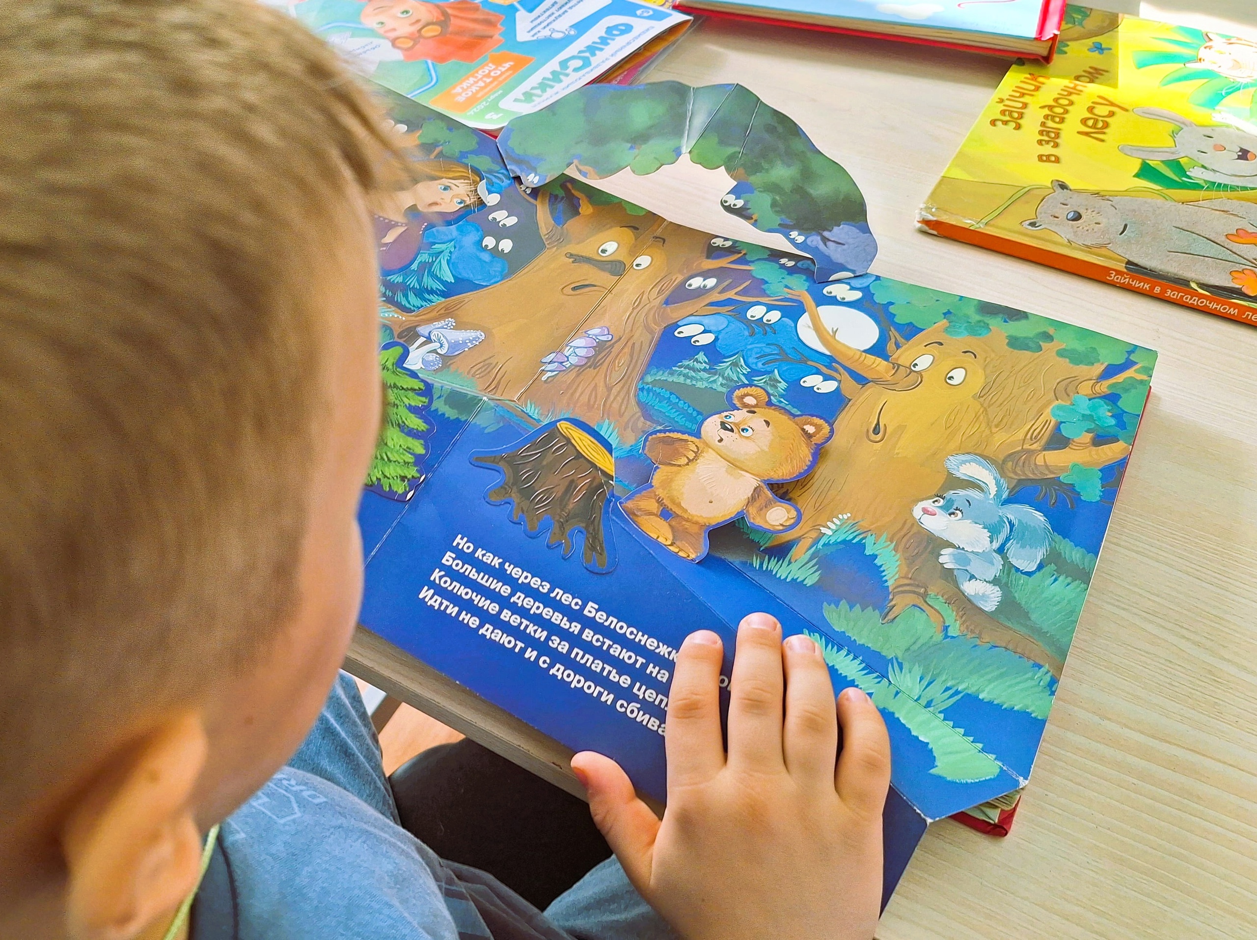 Книжкин дом — библиотека