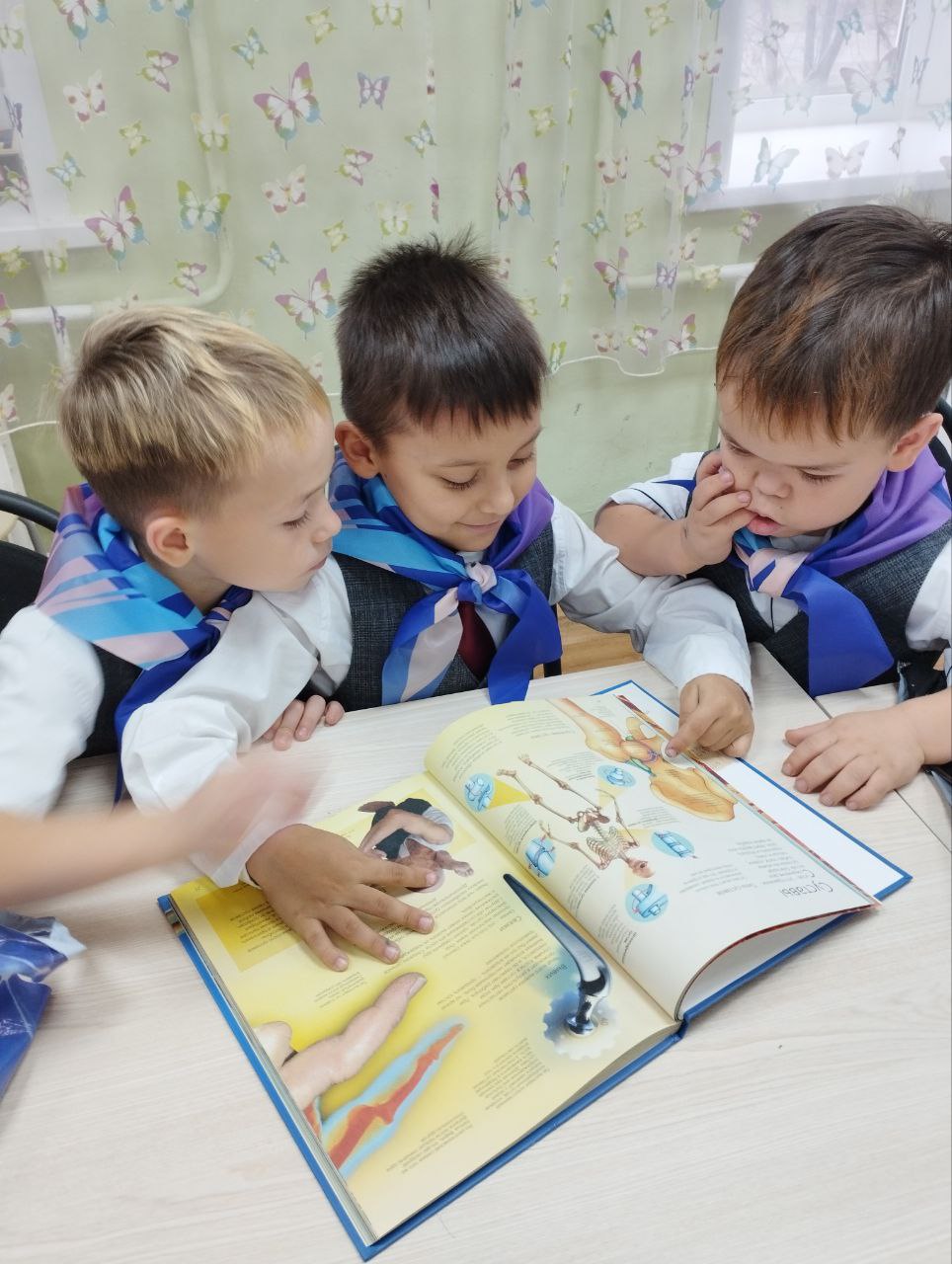 Запись без названия 4969