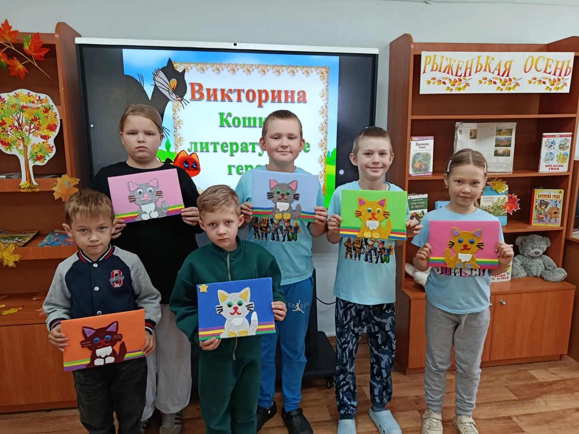 Такие разные котики!